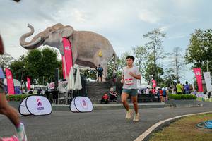 BIB: 
                            <button type="button" onclick="openModal(26528766)" class="btn btn-primary btn-sm float-right btn-popup" data-toggle="modal" data-target=".modal-high-quality">
                        <i class="fas fa-shopping-cart"></i> Add to Cart
                    </button>
                                            <button type="button" onclick="isThisMe(26528766, true)" class="btn btn-success btn-sm float-right btn-popup btn-isme hidden" data-toggle="tooltip" data-placement="bottom" title="นี่คือรูปของคุณใช่ไหม คลิกที่นี่เพื่อเอาเข้าอัลบั้ม">
                        <i class="fas fa-plus"></i> Add to album
                    </button>
                    <button type="button" onclick="isThisMe(26528766, false)" class="btn btn-warning btn-sm float-right btn-popup btn-isnotme hidden">
                        <i class="fas fa-ban"></i> Remove from album
                    </button>